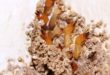 Cara Membasmi Rayap Tembok Cepat, Mudah dan Aman