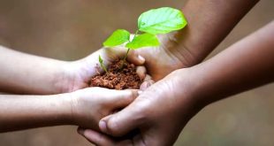Dinas Lingkungan Hidup Pilar Utama Pengelolaan Lingkungan di Indonesia