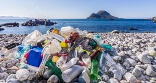 Program DLH Kudus Upaya Nyata dalam Pengelolaan Sampah dan Lingkungan