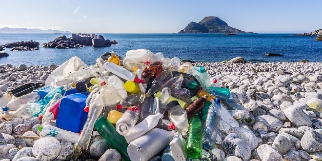 Program DLH Kudus Upaya Nyata dalam Pengelolaan Sampah dan Lingkungan